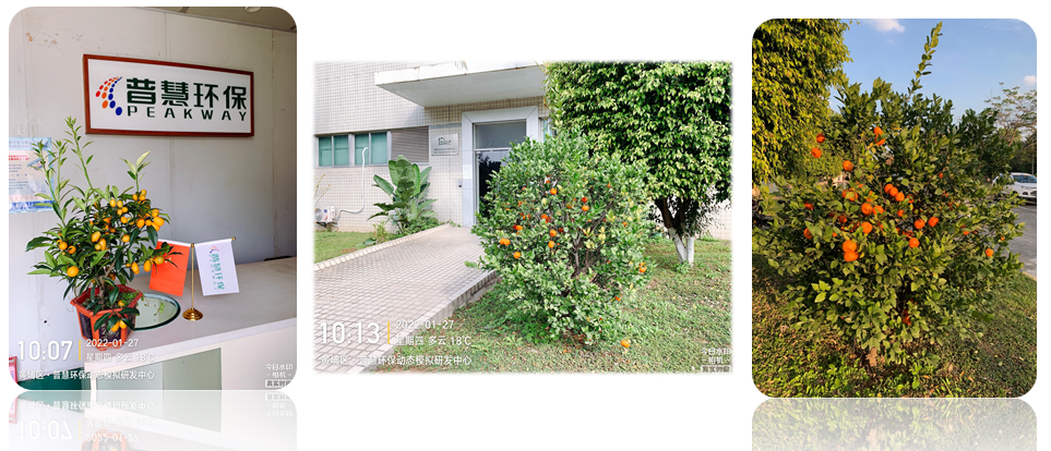 新新春微信官网图片2.png